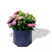 Donica z polietylenu CERES PL-CE70 niebieski