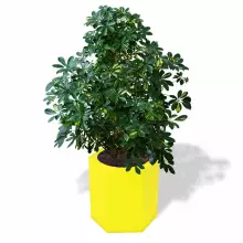 Donica z polietylenu CETO PL-CE60 cytryna