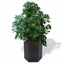 Donica z polietylenu CETO PL-CE60 czarny