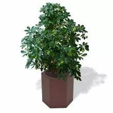 Donica z polietylenu CETO PL-CE60 czekolada