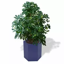 Donica z polietylenu CETO PL-CE60 niebieski