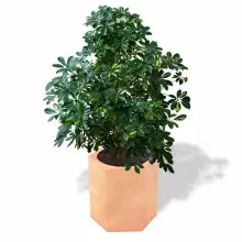 Donica z polietylenu CETO PL-CE60-PD terakota