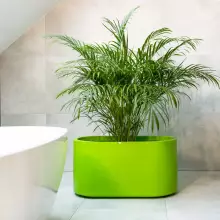 Donica z polietylenu LETO PL-LE42 limonka