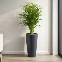 Donica z polietylenu VENUS PL-VE70 antracyt