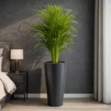 Donica z polietylenu VENUS PL-VE70 czarny