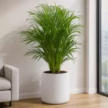 Donica z polietylenu ZOE PL-ZO50 biały