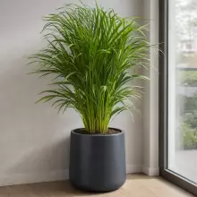 Donica z polietylenu ZOE PL-ZO50 antracyt