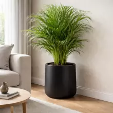 Donica z polietylenu ZOE PL-ZO50 czarny