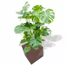 Donica z polietylenu EOS PL-EO50 czekolada