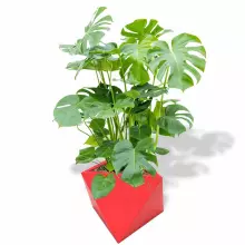 Donica z polietylenu EOS PL-EO50-PD czerwony