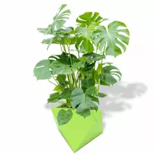 Donica z polietylenu EOS PL-EO50 limonka