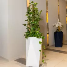 Donica z polietylenu ERIS PL-ER80-PD biały