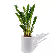 Donica z polietylenu HEBE PL-HE50-PD biały