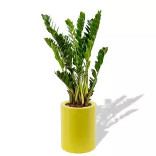 Donica z polietylenu HEBE PL-HE50-PD cytryna