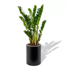 Donica z polietylenu HEBE PL-HE50-PD antracyt