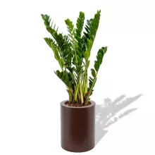 Donica z polietylenu HEBE PL-HE50-PD czekolada