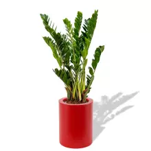 Donica z polietylenu HEBE PL-HE50-PD czerwony