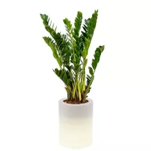 Donica z polietylenu HEBE PL-HE50-LIGHT biały podświetlany