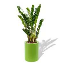 Donica z polietylenu HEBE PL-HE50-PD limonka