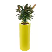 Donica z polietylenu HEBE PL-HE89-PD cytryna