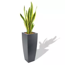 Donica z polietylenu JUNO PL-JU75 antracyt