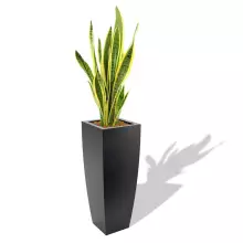 Donica z polietylenu JUNO PL-JU75 czarny