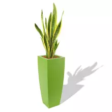 Donica z polietylenu JUNO PL-JU75­-PD limonka