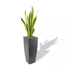 Donica z polietylenu JUNO PL-JU92-PD antracyt