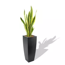 Donica z polietylenu JUNO PL-JU92 czarny