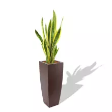 Donica z polietylenu JUNO PL-JU92 czekolada