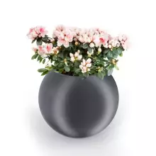 Donica z polietylenu JUPITER PL-JU64 antracyt