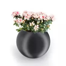 Donica z polietylenu JUPITER PL-JU64 czarny