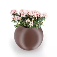 Donica z polietylenu JUPITER PL-JU64 czekolada