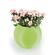 Donica z polietylenu JUPITER PL-JU64 limonka