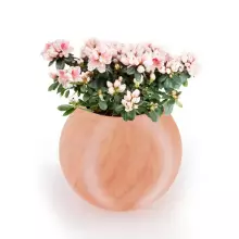 Donica z polietylenu JUPITER PL-JU64 terakota