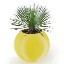 Donica z polietylenu JUPITER PL-JU80 cytryna