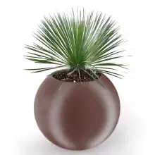 Donica z polietylenu JUPITER PL-JU80 czekolada