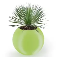 Donica z polietylenu JUPITER PL-JU80 limonka