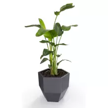 Donica z polietylenu KALAS 53 antracyt