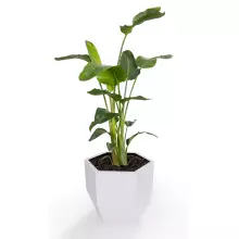 Donica z polietylenu KALAS 53 biały