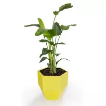 Donica z polietylenu KALAS 53 cytryna