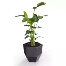 Donica z polietylenu KALAS 53 czarny