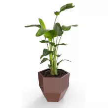 Donica z polietylenu KALAS 53 czekolada