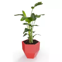 Donica z polietylenu KALAS 53 czerwony