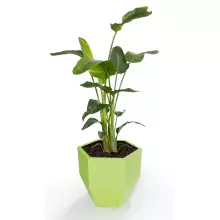 Donica z polietylenu KALAS 53 limonka