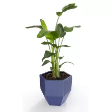 Donica z polietylenu KALAS 53 niebieski