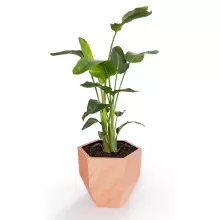 Donica z polietylenu KALAS 53 terakota