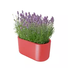 Donica z polietylenu LETO PL-LE42 czerwony