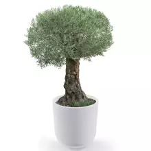 Donica z polietylenu LUNA PL-LU80 biały