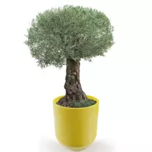 Donica z polietylenu LUNA PL-LU80 cytryna